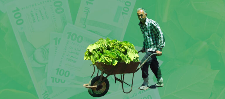 “We Forgot How to Grow Tobacco”